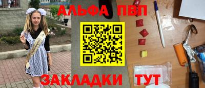 гашик Донской