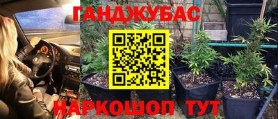 гашик Донской