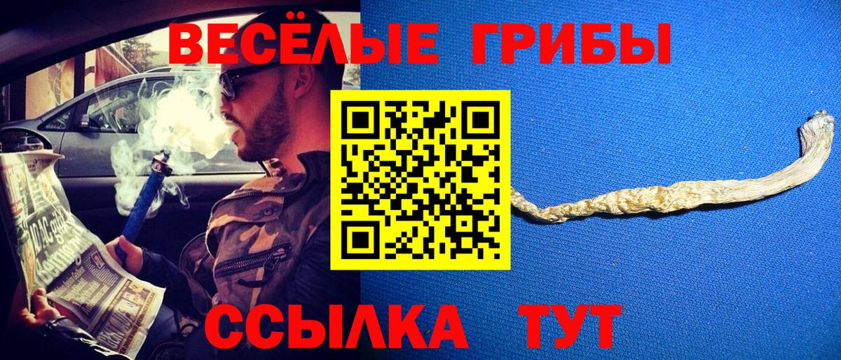 Псилоцибиновые грибы Psilocybe  Вход с VPN  Нефтекамск 